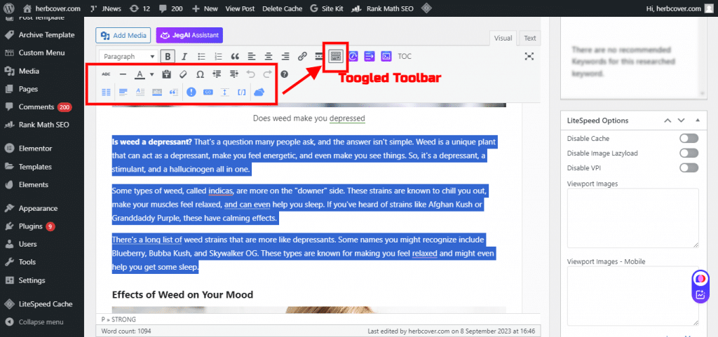 Text Formatting options in the classic editor