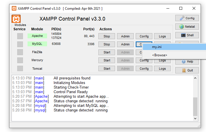 my.ini option for MySQL module