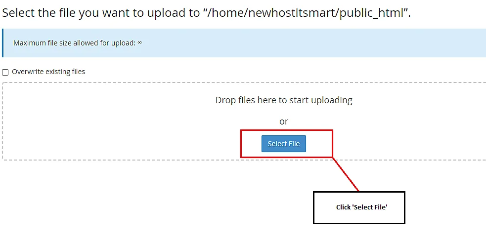 Select File Option to upload a file in File Manager Folder