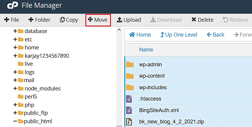 move WordPress extracted files in public HTML directory