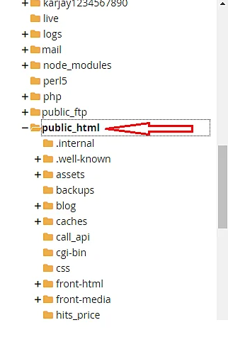 Public Html Folder in File Manager of cPanel